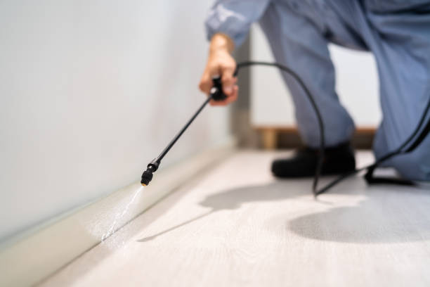 Licensed Fumigation Services service in Ashton-Sandy Spring, MD - Nex Pest Control