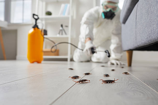 Trusted Rodent Control service in Ashton-Sandy Spring, MD - Nex Pest Control